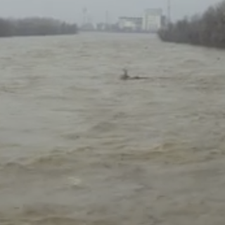 Previsioni Arpa: livello del Po ancora in crescita