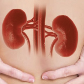 La salute dei reni per tutti e ovunque