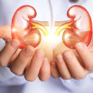 Malattie renali: stand in piazza Cavour per diffondere la cultura della prevenzione