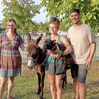 A piedi lungo la via Francigena con l'asinello Sheldon e il cane Rugo