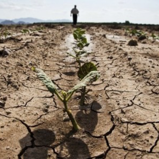 Siccità: ordinanze in 9 Comuni tra vercellese e biellese, 12 interventi con autobotte