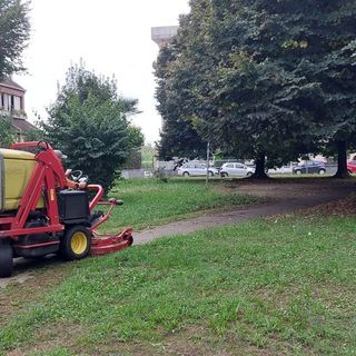 Taglio dell'erba e potature: gli interventi della prossima settimana