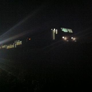 Il treno investe un cinghiale e resta bloccato per ore in campagna