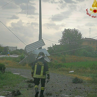 Disastri per il vento: abbattuti alberi e pali del telefono