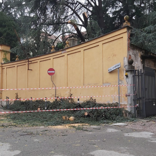 Albero spezzato: chiusa via del Tribunale