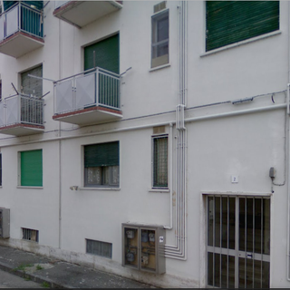 Assediati da puzza e insetti