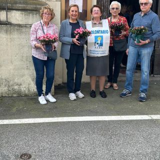 Prarolo, 72 azalee pro Airc