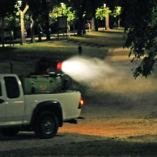 Zanzare, al via i trattamenti nei parchi e sulle alberate