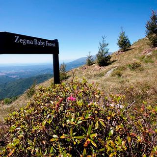 Vercellese si perde sui monti dell'Oasi Zegna