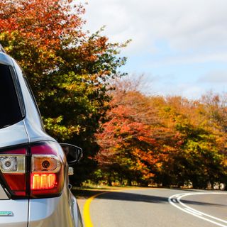 Flotte Aziendali e NLT: l'unico argine contro le sanzioni CO2 da 2,8 miliardi di euro