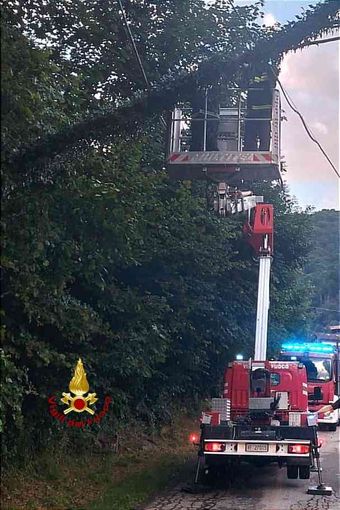 Alberi pericolanti in Valsesia, serata di lavoro per i Vigili del fuoco Alberi pericolanti in Valsesia, serata di lavoro per i Vigili del fuoco