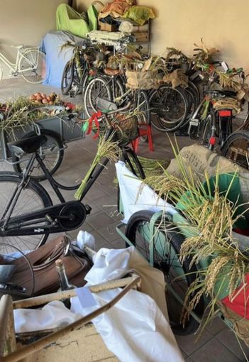 Robbio: rubate le bici d'epoca del rione Campagnola. L'appello dei contradaioli: "Ridatecele"