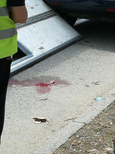 Colpito in testa dal portellone di un camion