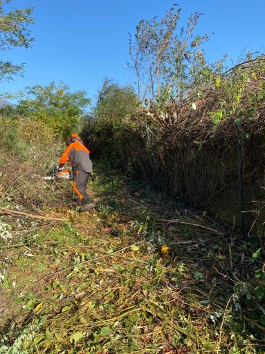 Bonaccio: «Stufi di aspettare la Regione, la pulizia del Sesia la paghiamo noi» Bonaccio: «Stufi di aspettare la Regione, la pulizia del Sesia la paghiamo noi»