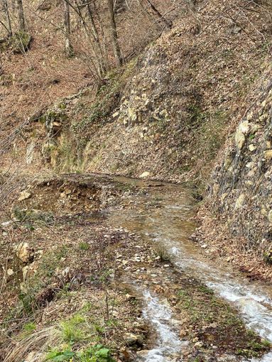 Erbareti irraggiungibile dallo scorso settembre, è ora di intervenire Erbareti irraggiungibile dallo scorso settembre, è ora di intervenire