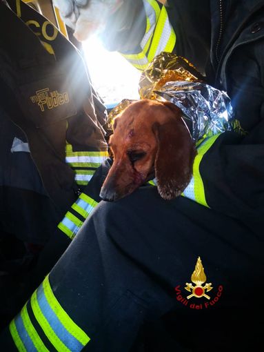 Ferito e incastrato in un tubo: salvato dai Vigili del Fuoco Ferito e incastrato in un tubo: salvato dai Vigili del Fuoco