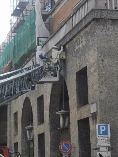 Sciame di api in piazza Zumaglini: l'intervento di recupero - FOTO Sciame di api in piazza Zumaglini: l'intervento di recupero - FOTO