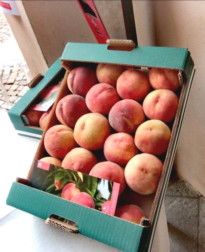 La "Bella" di Borgo d'Ale è presidio Slow Food: un frutto che racconta la storia del territorio La "Bella" di Borgo d'Ale è presidio Slow Food: un frutto che racconta la storia del territorio