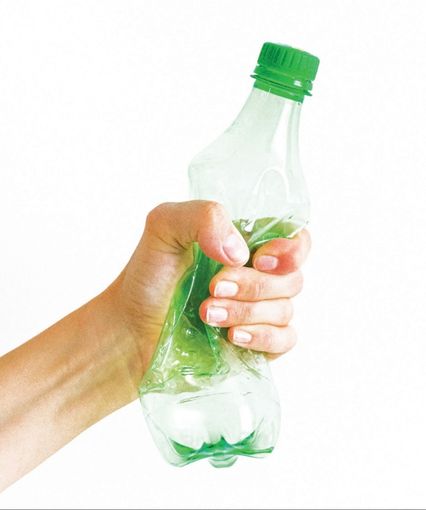 "Future is green": una vetrina per i progetti delle scuole vercellesi