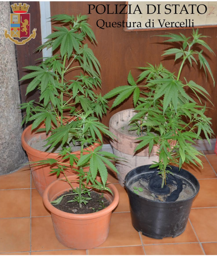 In manette due fidanzati 50enni dai lunghi trascorsi criminali In manette due fidanzati 50enni dai lunghi trascorsi criminali