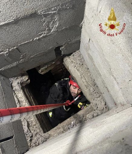 Discesa nel pozzo per salvare un cane intrappolato