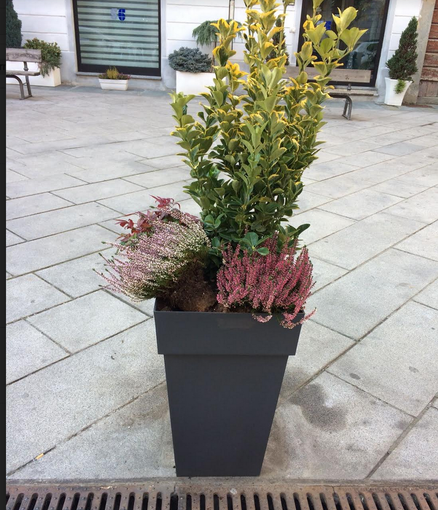 Nuovi vasi, subito presi di mira