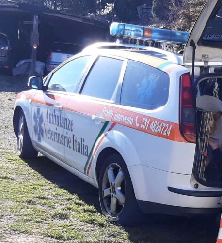 Un'ambulanza sempre a disposizione per le emergenze veterinarie
