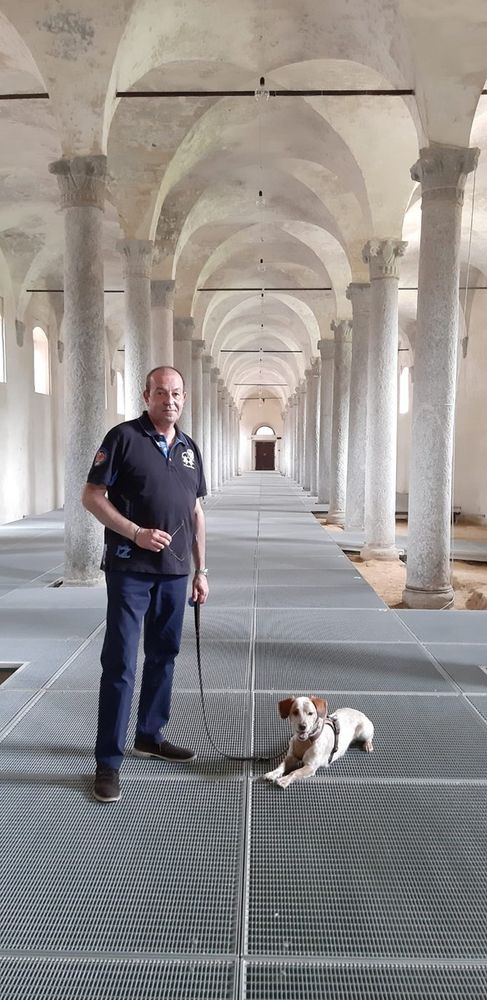 Grazie per le attestazioni di stima verso Alberto Grazie per le attestazioni di stima verso Alberto