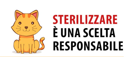 Conosci 588 persone disposte ad adottare un gattino? Allora sterilizza il tuo micio