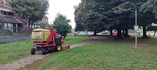 Taglio dell'erba e potature: gli interventi della prossima settimana
