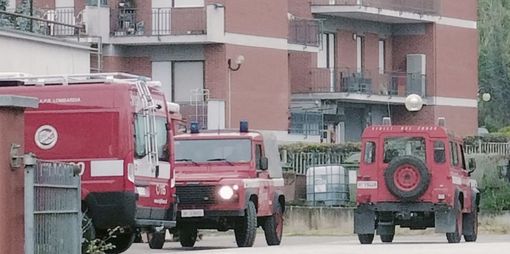 Incendio distrugge quasi un ettaro di bosco Incendio distrugge quasi un ettaro di bosco