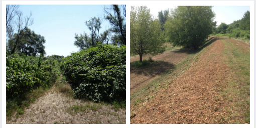 Parco Korczak Parco Korczak