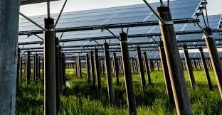 «Colpo di spugna sulle limitazioni per l'agricoltaico»