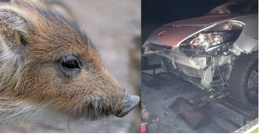 Evita un cinghiale ma finisce fuoristrada con l'auto, grosso spavento per un 65enne