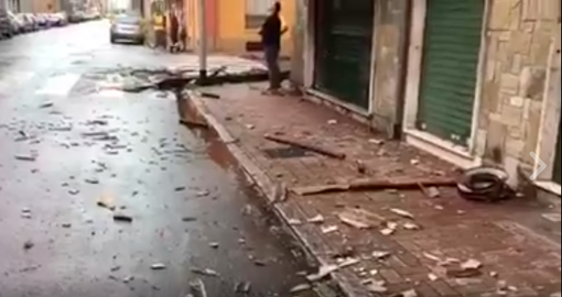 Temporale e forte vento: danni ingenti in città e paesi - FOTOGALLERY