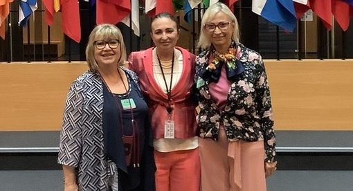 Martini, Gancia, Bassignana Martini, Gancia, Bassignana