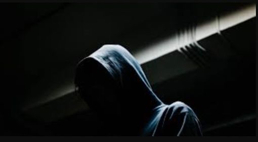 Furti, violenze sessuali ma soprattutto reati informatici: la fotografia della criminalità in provincia di Vercelli