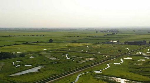 Fai Giovani, alla Cascina Oschiena per un evento sulla biodiversità