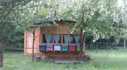 Lo Chalet delle Api. A Borgo d'Ale