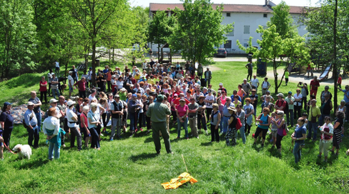 Camminata al Bosco della Partecipanza: un successo che ha coinvolto 280 persone Camminata al Bosco della Partecipanza: un successo che ha coinvolto 280 persone