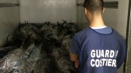 Vendevano pesce mal conservato: dieci sanzioni a locali vercellesi Vendevano pesce mal conservato: dieci sanzioni a locali vercellesi