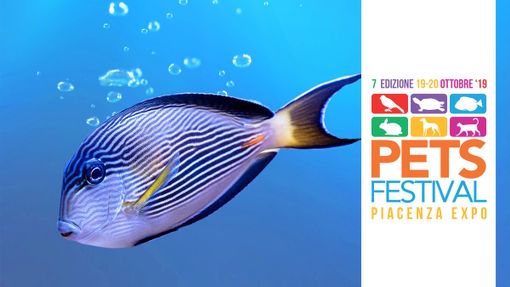 A Petsfestival c’è la più grande fiera di acquari d’Italia A Petsfestival c’è la più grande fiera di acquari d’Italia