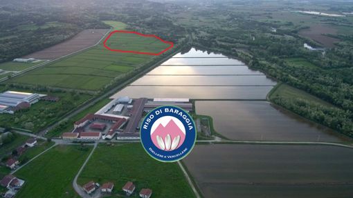 Discarica di amianto: il Tar accoglie il ricorso del Consorzio Riso di Baraggia. «Oggi l'ambiente ha vinto» Discarica di amianto: il Tar accoglie il ricorso del Consorzio Riso di Baraggia. «Oggi l'ambiente ha vinto»