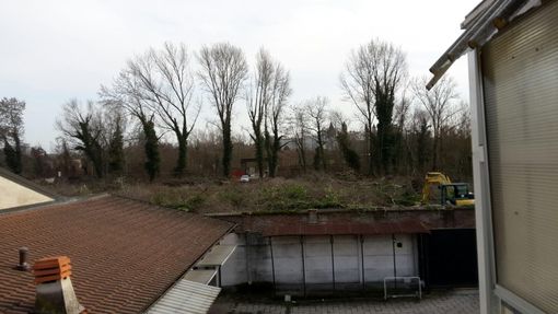 Gli interventi di bonifica in corso all'Isola Gli interventi di bonifica in corso all'Isola