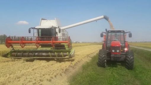 Presidio di Confagricoltura: «Mercato sempre più penalizzante. Il futuro del comparto è a rischio»