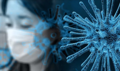 Il virus nel vercellese: 59 persone guarite, 34 i casi nuovi Il virus nel vercellese: 59 persone guarite, 34 i casi nuovi