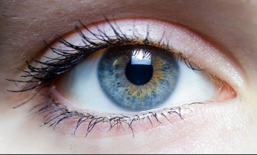 Visite, incontri e la performance "A occhi chiusi": Vercelli celebra la giornata della vista