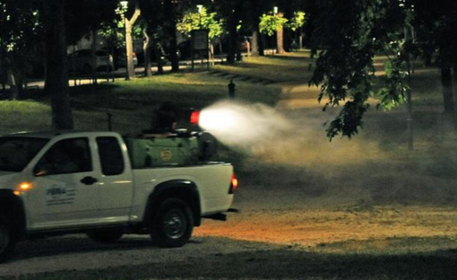 Dalla prossima settimana trattamenti anti zanzare