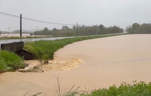 L'Elvo nelle campagne di Carisio