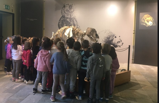 Una scolaresca in visita al museo Conti